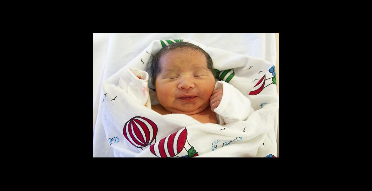 RosaLynn Roxie Reamer