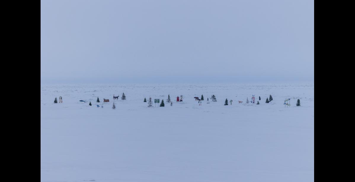 Photo by Anna Lionas BEFORE IT FELL— The Nome National Forest before the ice broke off and the open sea swallowed the seasonal Nome forest made up of old Christmas trees.