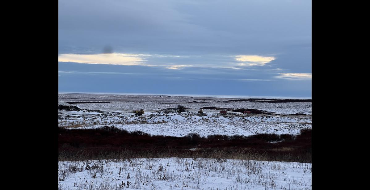 Photo by Diana Haecker The tundra outside of Nome is brown, not snow-covered as it should be, on December 11, 2024. The Arctic Report Card found that Arctic tundra is turning from a carbon sink into a carbon emitter.