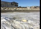 Photo courtesy Gay Sheffield HEALTHY PUP— This seal pup on ice chunks in front of town was moved to a more secluded beach, last week.