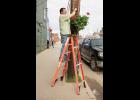 BEAUTIFICATION— Northrim Bank donated thirty potted geranium plants for the beautification of Nome. Paul Kosto of the Chamber of Commerce was among those hanging the plants on utility poles on Front Street